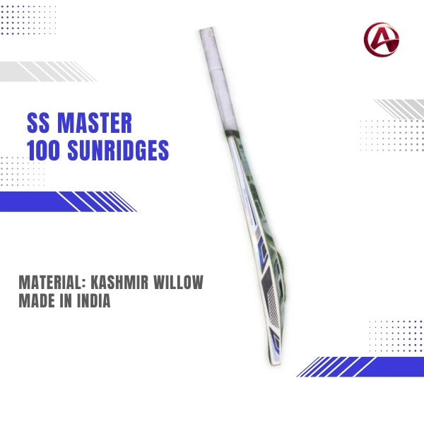 SS Master 100 Kashmir Willow Cricket Bat – SH | Official Cricket Bat